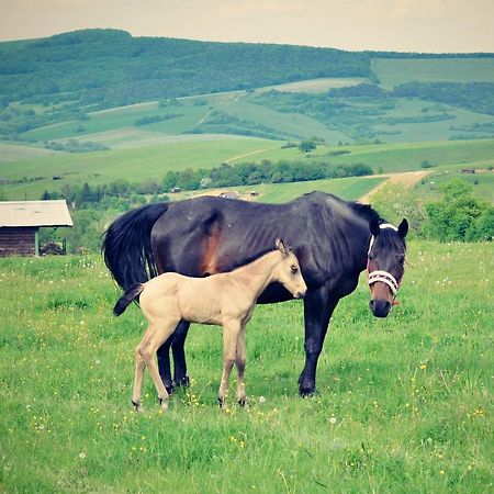 Vila Chata Koniaren Pavlovce Exteriér fotografie