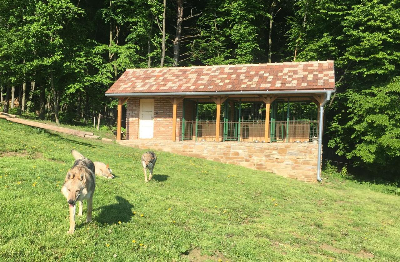 Vila Chata Koniaren Pavlovce Exteriér fotografie