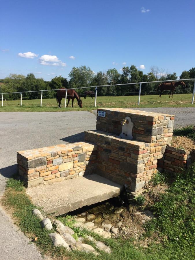 Vila Chata Koniaren Pavlovce Exteriér fotografie